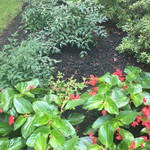 Meet your Posher, Jordyn